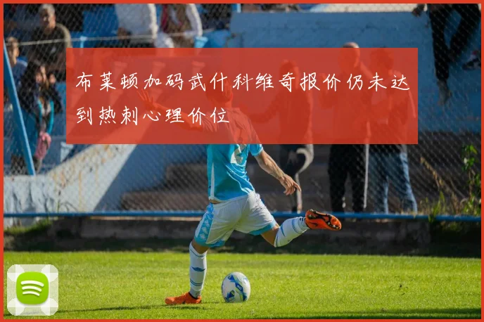 布莱顿加码武什科维奇报价仍未达到热刺心理价位
